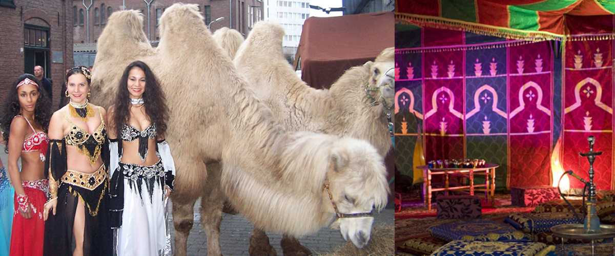 Shisha lounge voor koningsdagfeesten